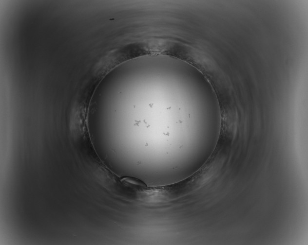 X0000088660237200705251528