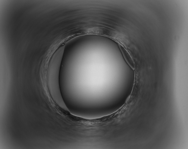 X0000088660241200705251528