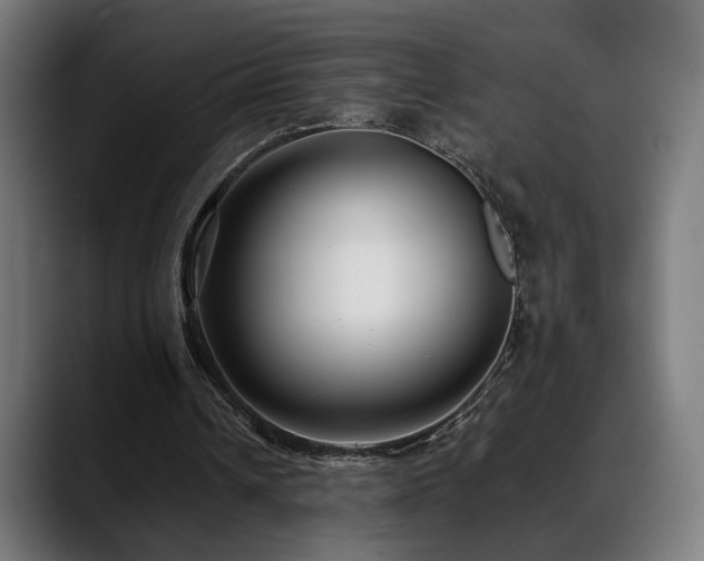 X0000088660242200705251528