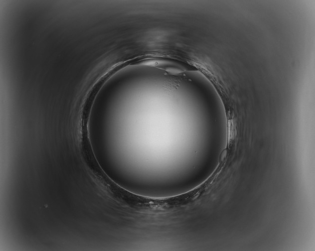 X0000088660243200705251528