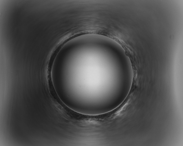 X0000088660244200705251528