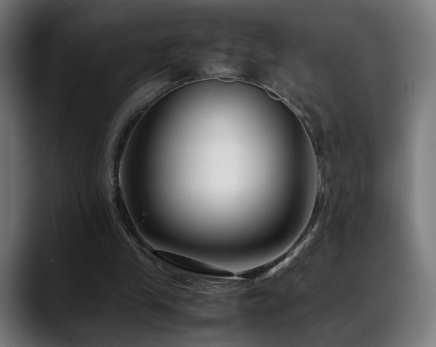 X0000088660245200705251528