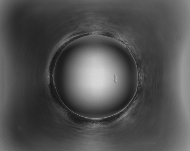 X0000088660246200705251528