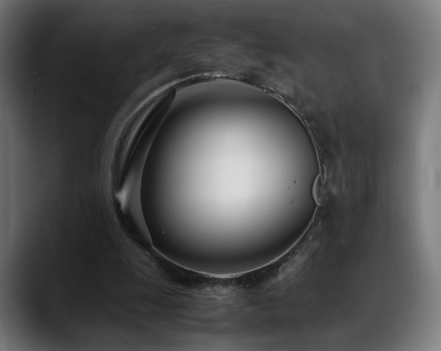 X0000088660247200705251528