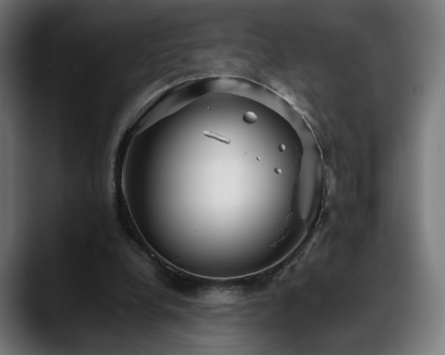 X0000088660248200705251528