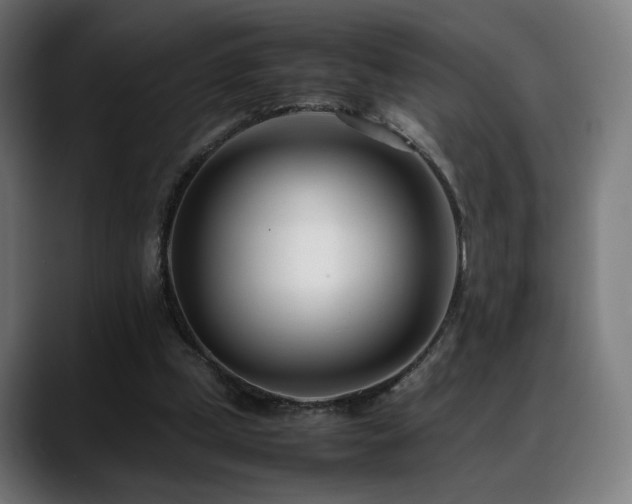 X0000088660249200705251528