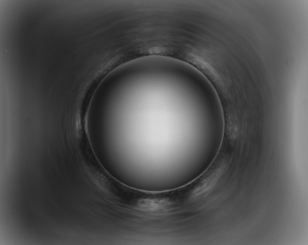 X0000088660251200705251528