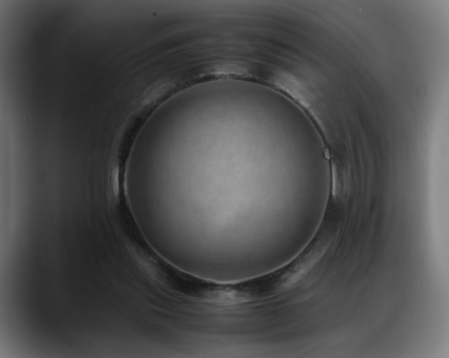 X0000088660253200705251528