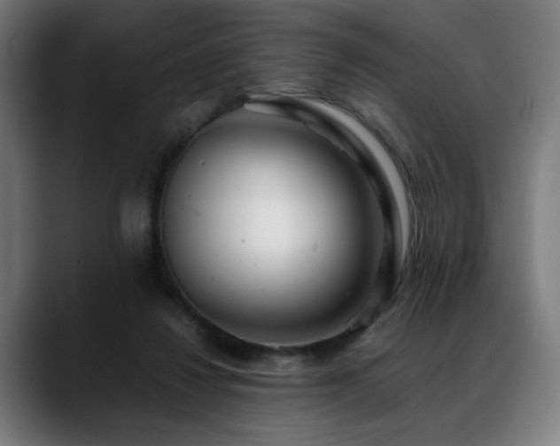 X0000088660260200705251528