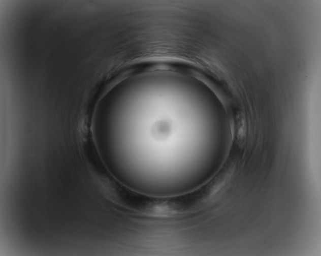 X0000088660264200705251528