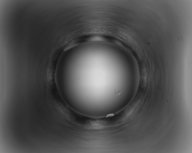 X0000088660268200705251528