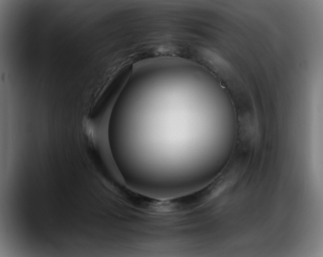 X0000088660269200705251528