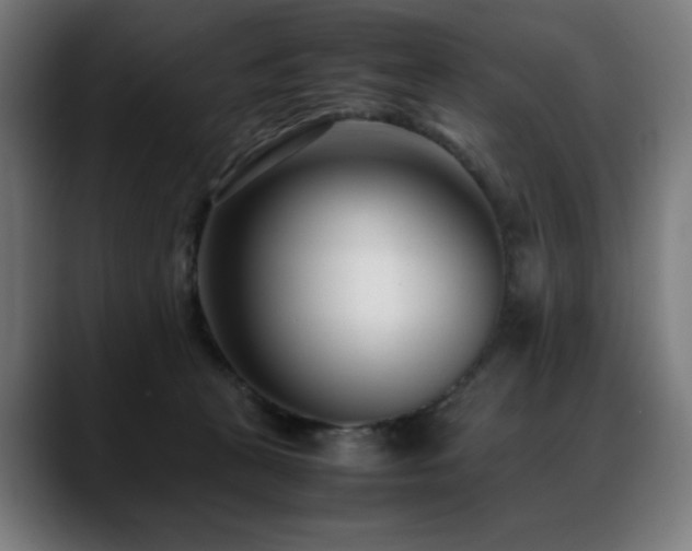 X0000088660273200705251528