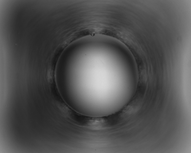 X0000088660274200705251528