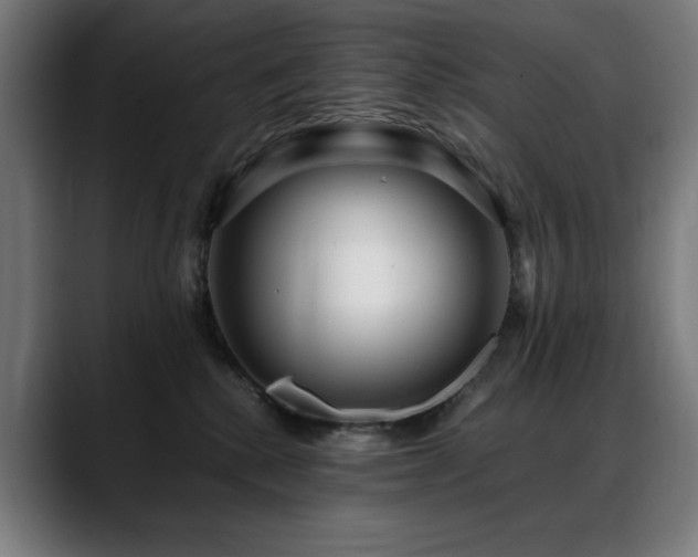 X0000088660280200705251528