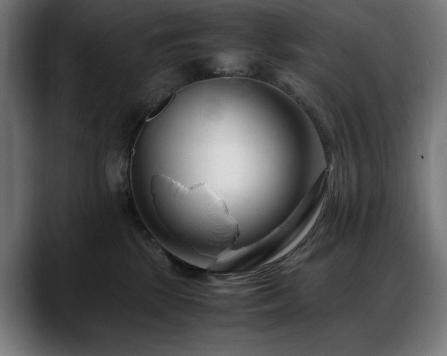 X0000088660281200705251528