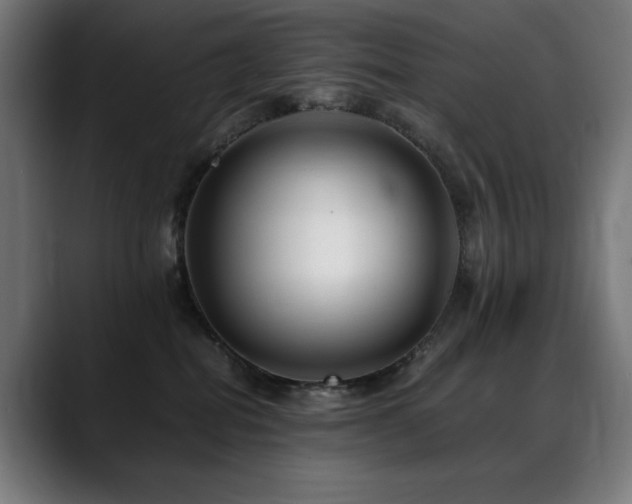 X0000088660282200705251528