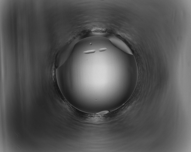 X0000088660288200705251528