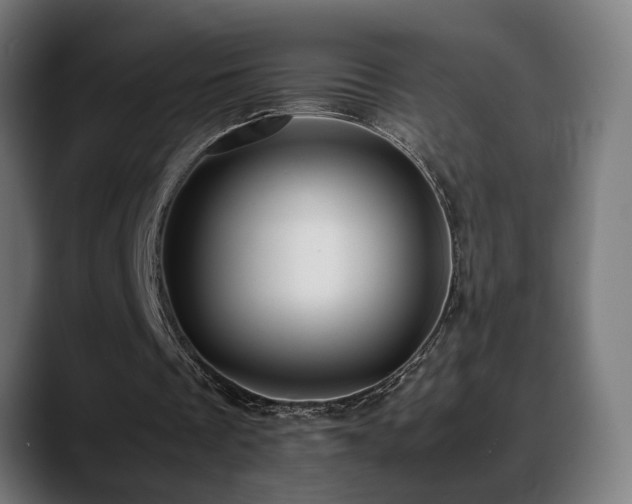 X0000088660289200705251528