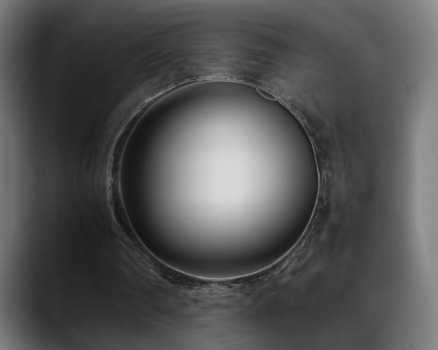 X0000088660290200705251528