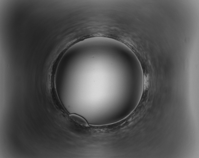 X0000088660291200705251528