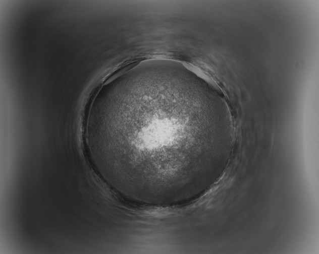 X0000088660293200705251528