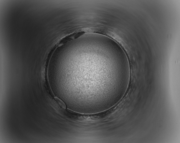 X0000088660297200705251528