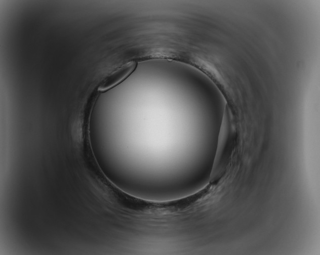 X0000088660299200705251528