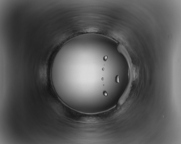 X0000088660300200705251528