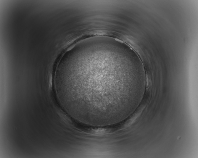 X0000088660301200705251528