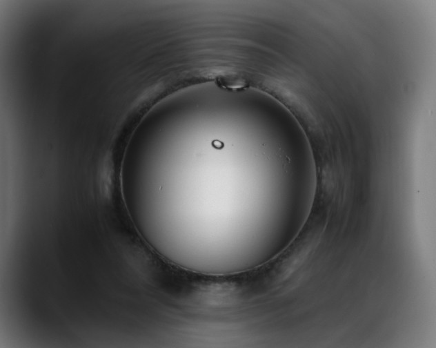 X0000088660304200705251528