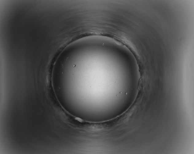 X0000088660305200705251528