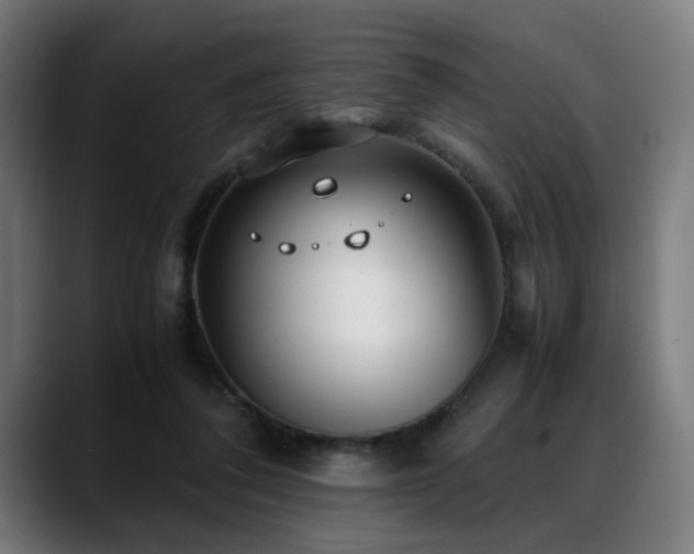 X0000088660308200705251528