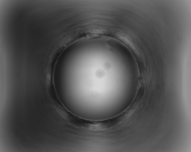 X0000088660309200705251527