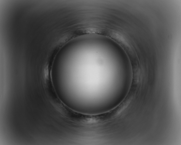 X0000088660310200705251527