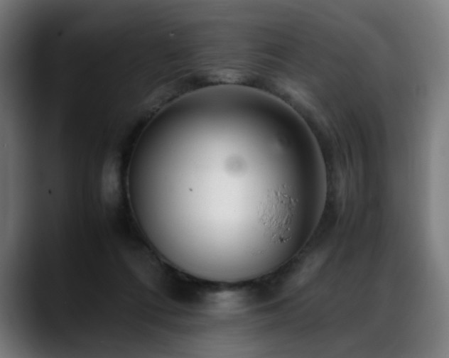 X0000088660312200705251527