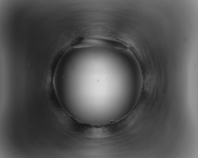 X0000088660314200705251527