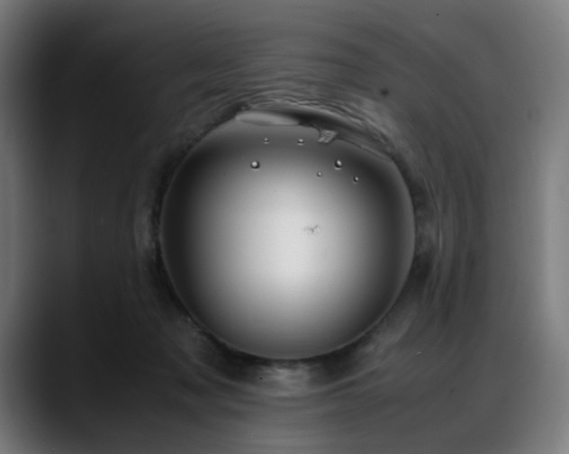 X0000088660317200705251527