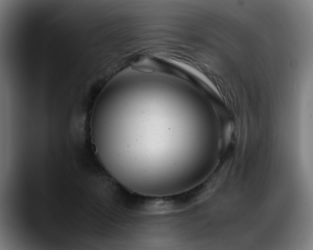 X0000088660319200705251527