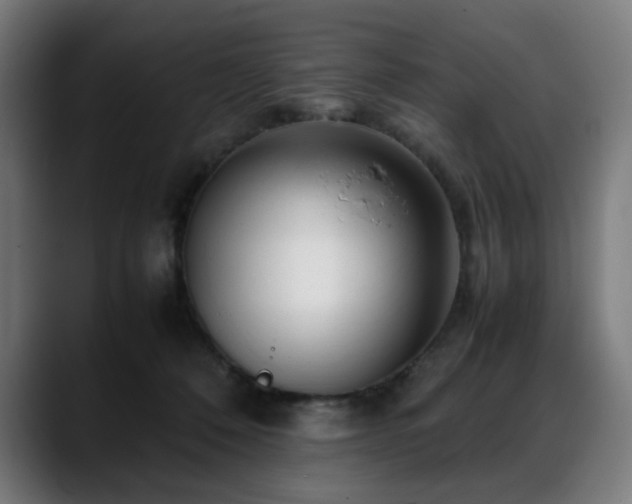 X0000088660320200705251527