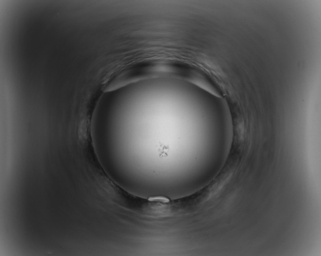 X0000088660325200705251527