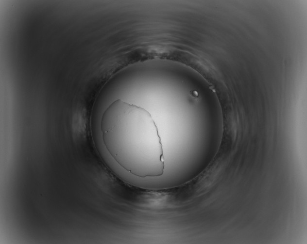 X0000088660328200705251527