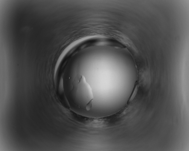 X0000088660329200705251527