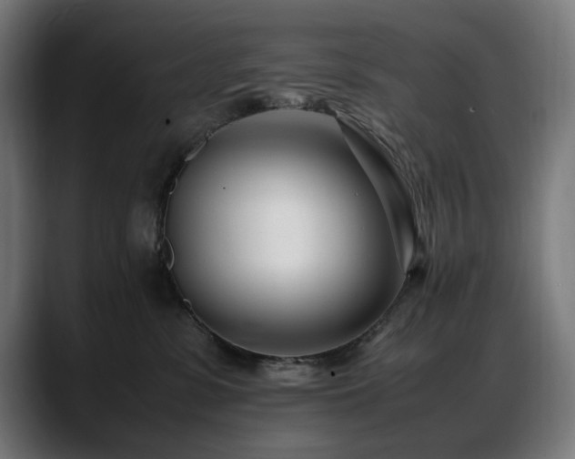 X0000088660331200705251527