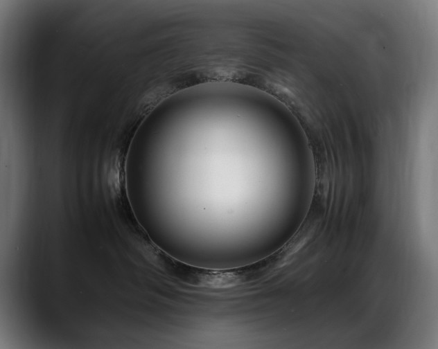 X0000088660334200705251527