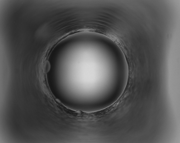 X0000088660337200705251527