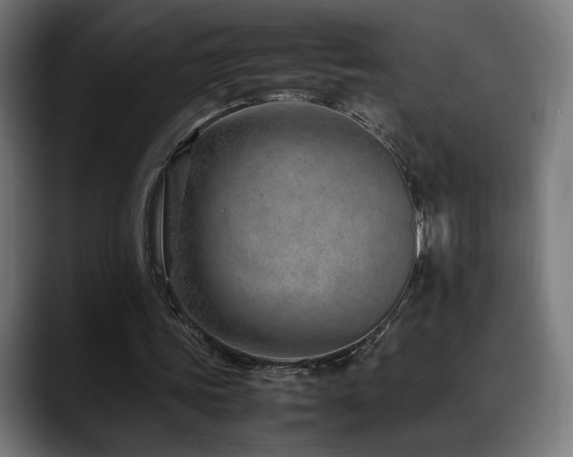 X0000088660339200705251527