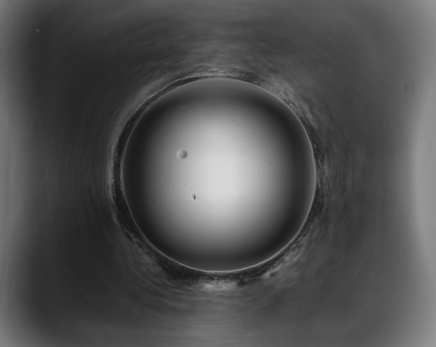 X0000088660340200705251527