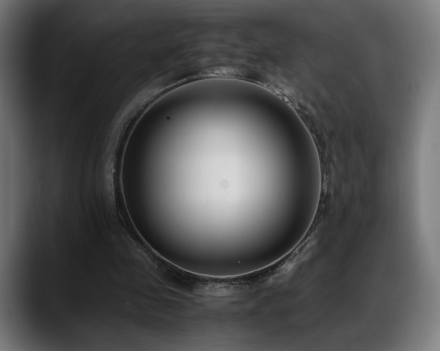 X0000088660341200705251527