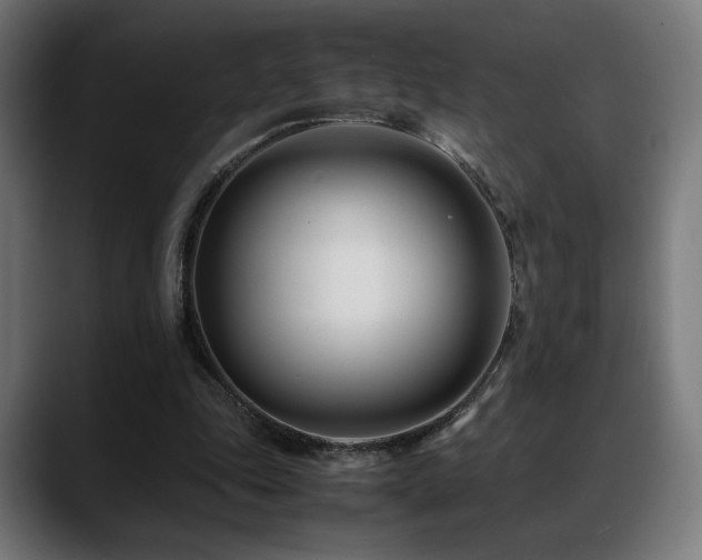 X0000088660343200705251527